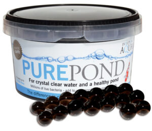 EA Pure Pond
