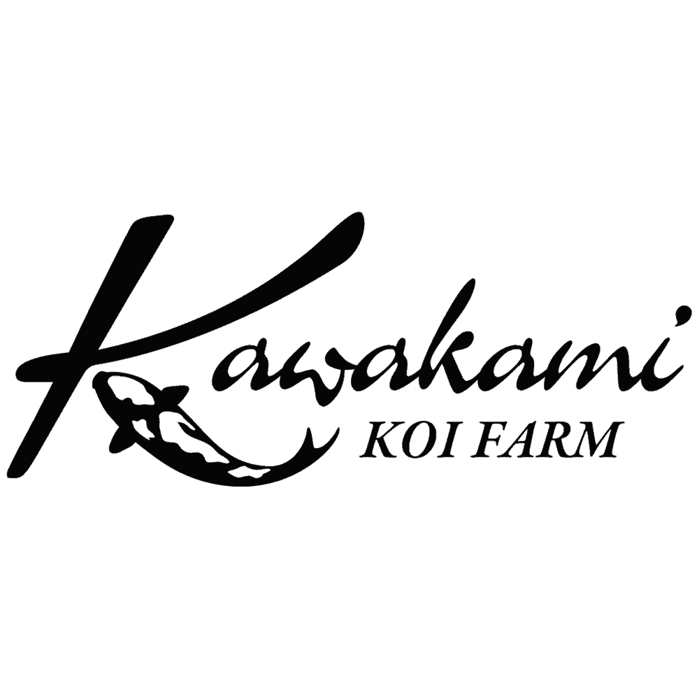 Kawakami Tag Image