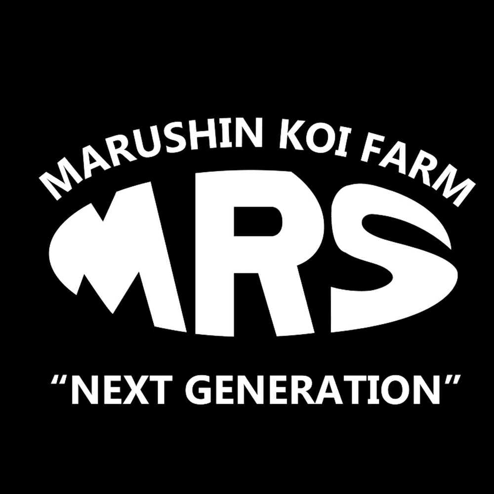 Marushin Tag Image
