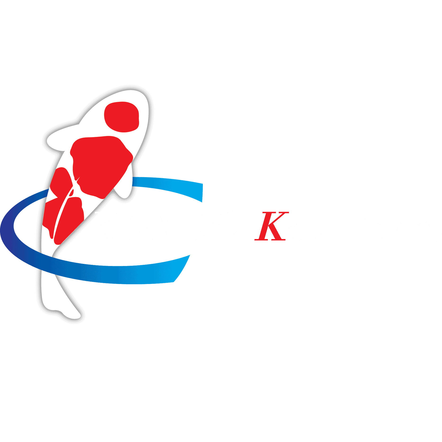 Kondo Tag Image